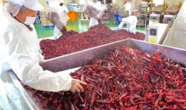 肉串加工厂爆料视频大全,爆料视频大全背后的真实加工过程