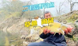 二毛野钓爆料视频下载,视频爆料中的垂钓技巧与心得分享