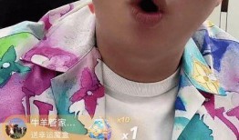 最新爆料的辛巴歌曲,独家揭秘背后创作故事