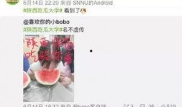 高校免费吃瓜网站,揭秘校园生活趣味瞬间